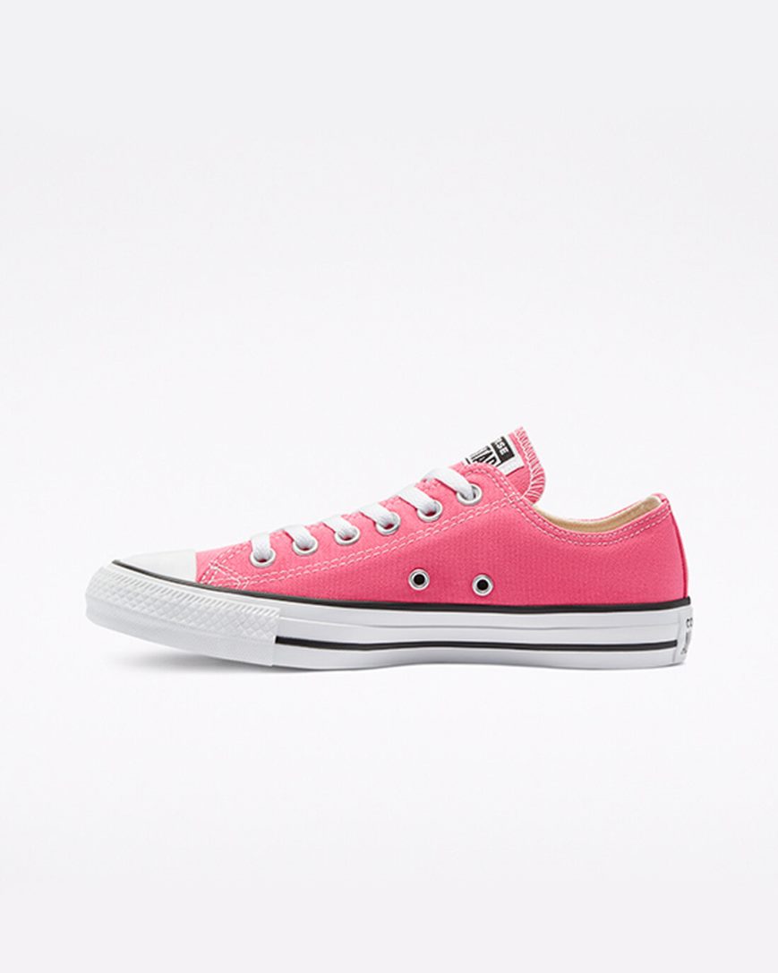 Dámské Boty Nízké Converse Chuck Taylor All Star Classic Růžové | CZ FLMT25